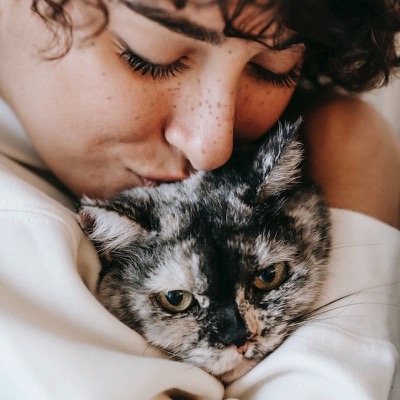 Pet Hug